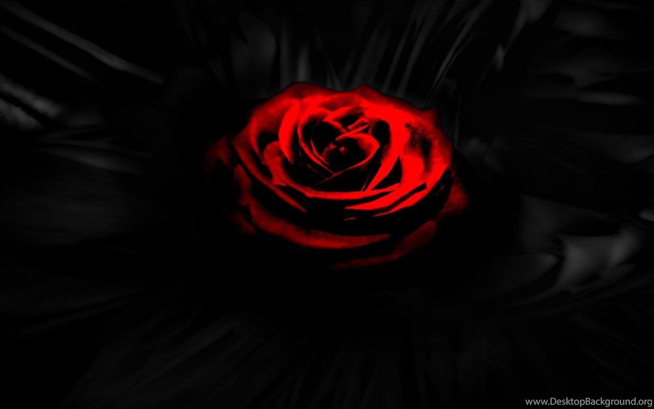 Dark Red Rose Wallpapers Top Free Dark Red Rose Backgrounds