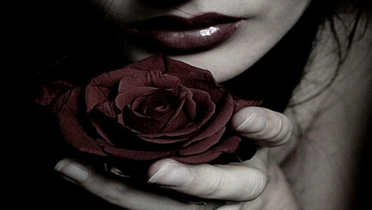 1485x839 Free download Dark red rose wallpaper picture 2 [1485x839] for your Desktop, Mobile & Tablet. Explore Dark Red Roses Wallpaper. Red and Black Rose Wallpaper, Red Rose Wallpaper for