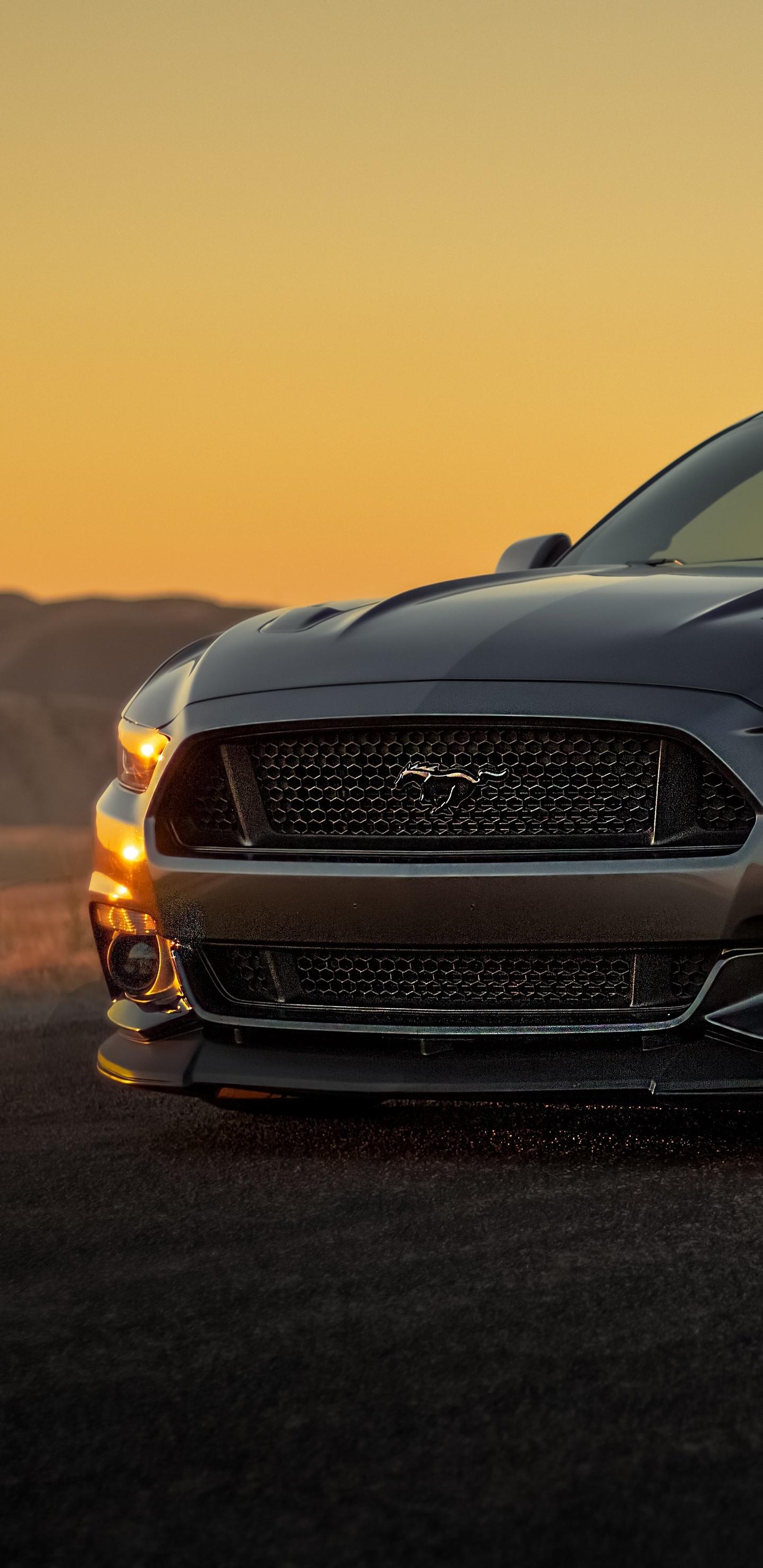 1440x2960 Black Ford Mustang 2019 5k Samsung Galaxy Note S S SQHD HD 4k Wallpaper, Image, Background, Photo and Picture