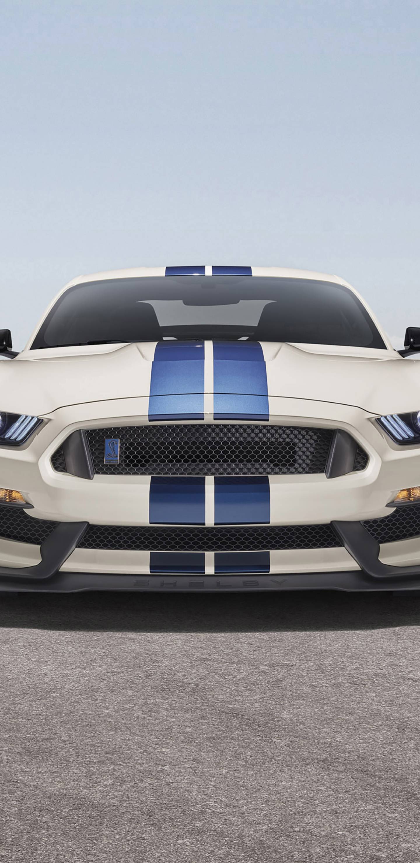 1440x2960 Ford Mustang Shelby GT350 Samsung Galaxy Note S S SQHD Wallpaper, HD Cars 4K Wallpaper, Image, Photo and Background