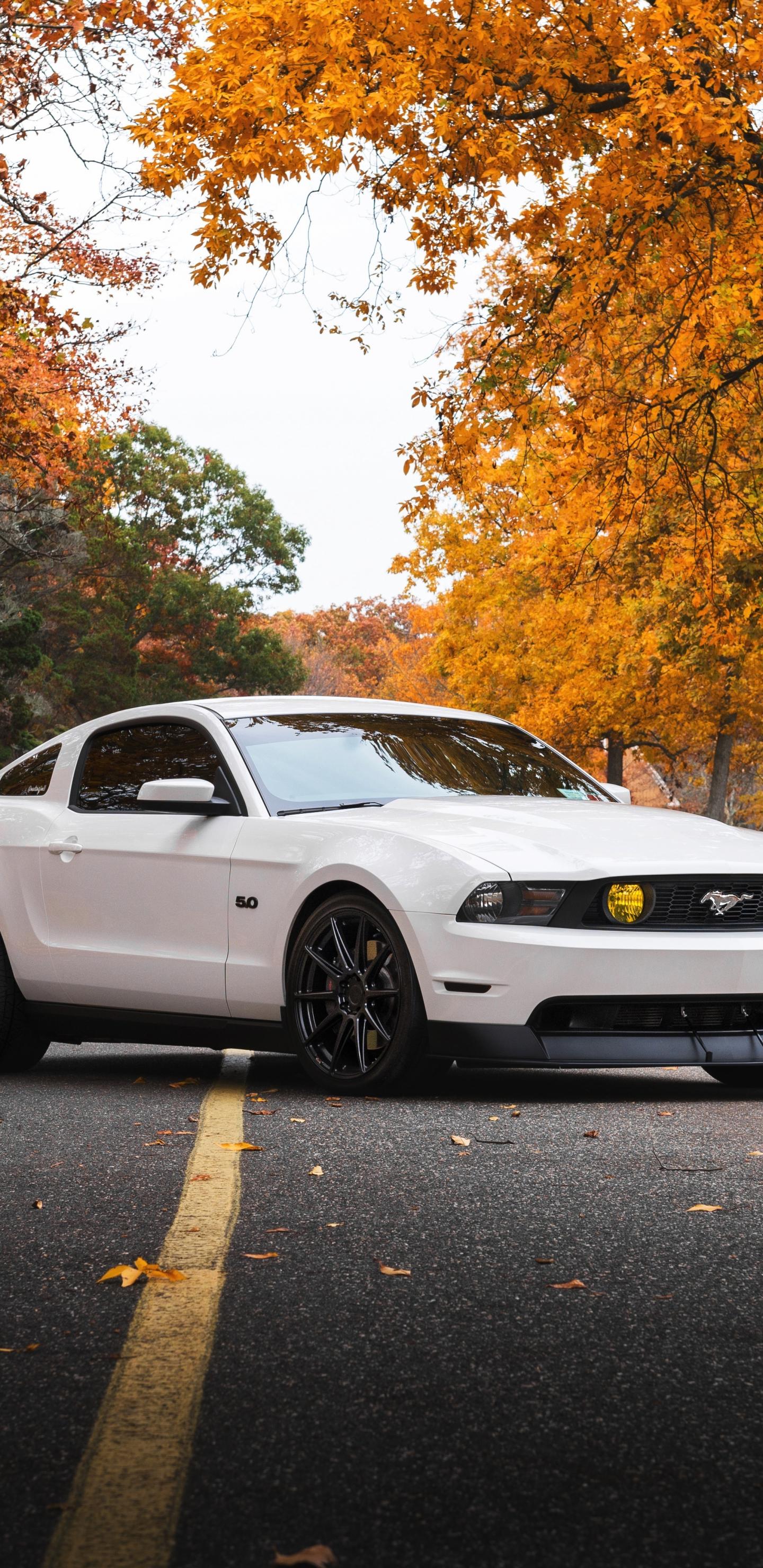 1440x2960 Download 1440x2960 wallpaper white, ford mustang, sports car, samsung galaxy s samsung galaxy s8 plus, 1440x2960 HD image, background, 9864
