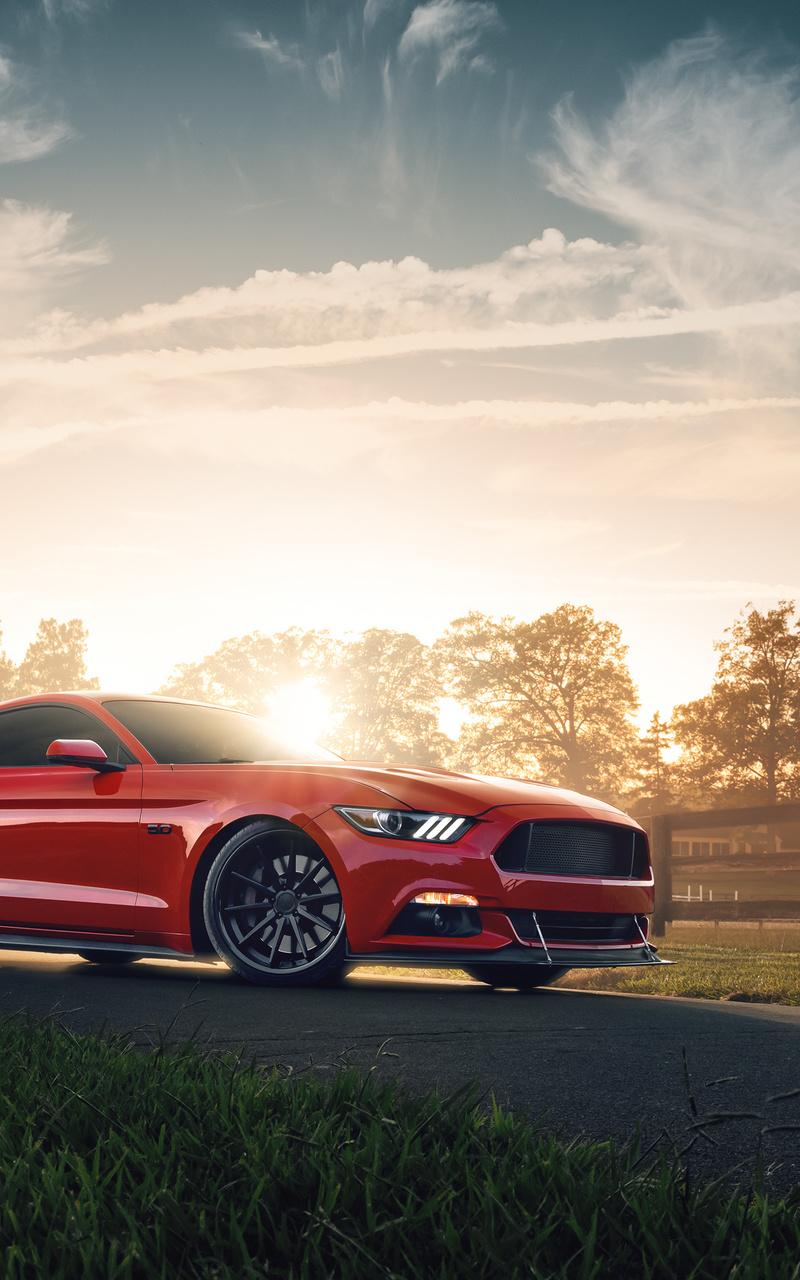 800x1280 Ford Mustang GT 4k 2019 Nexus Samsung Galaxy Tab Note Android Tablets HD 4k Wallpaper, Image, Background, Photo and Picture