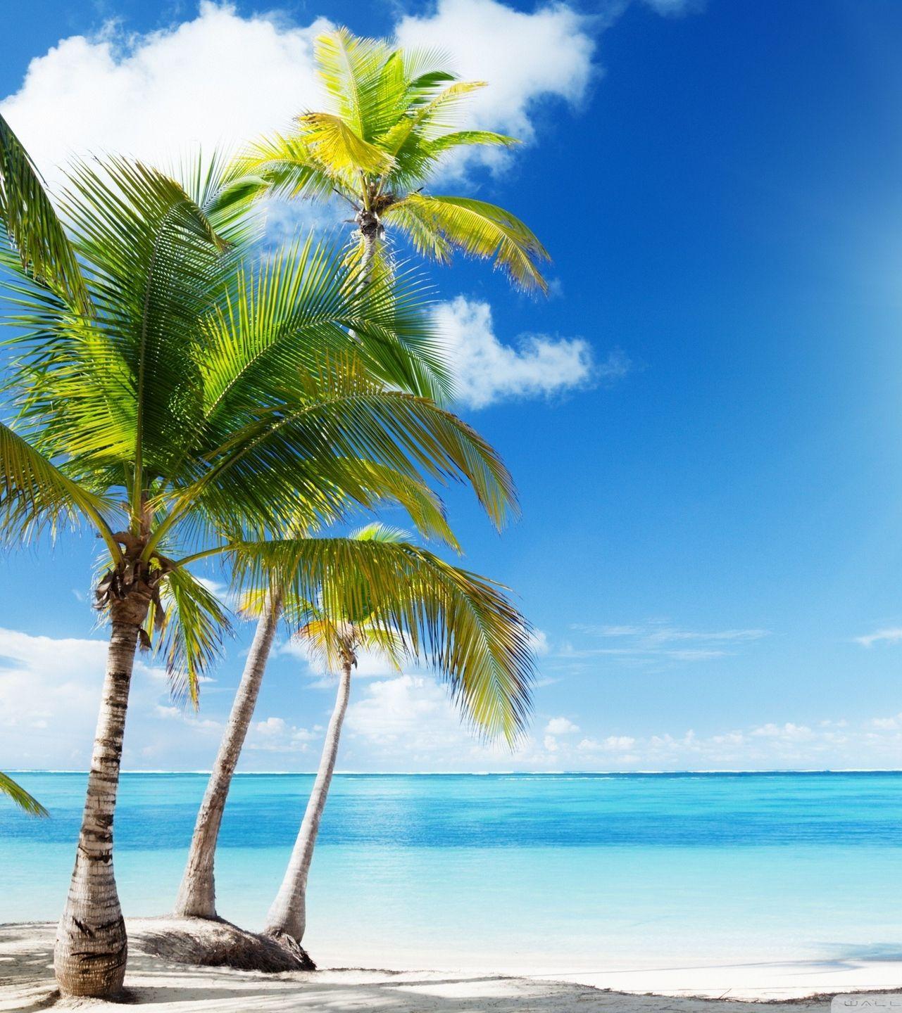 Sunny Beaches Wallpapers - Top Free Sunny Beaches Backgrounds ...