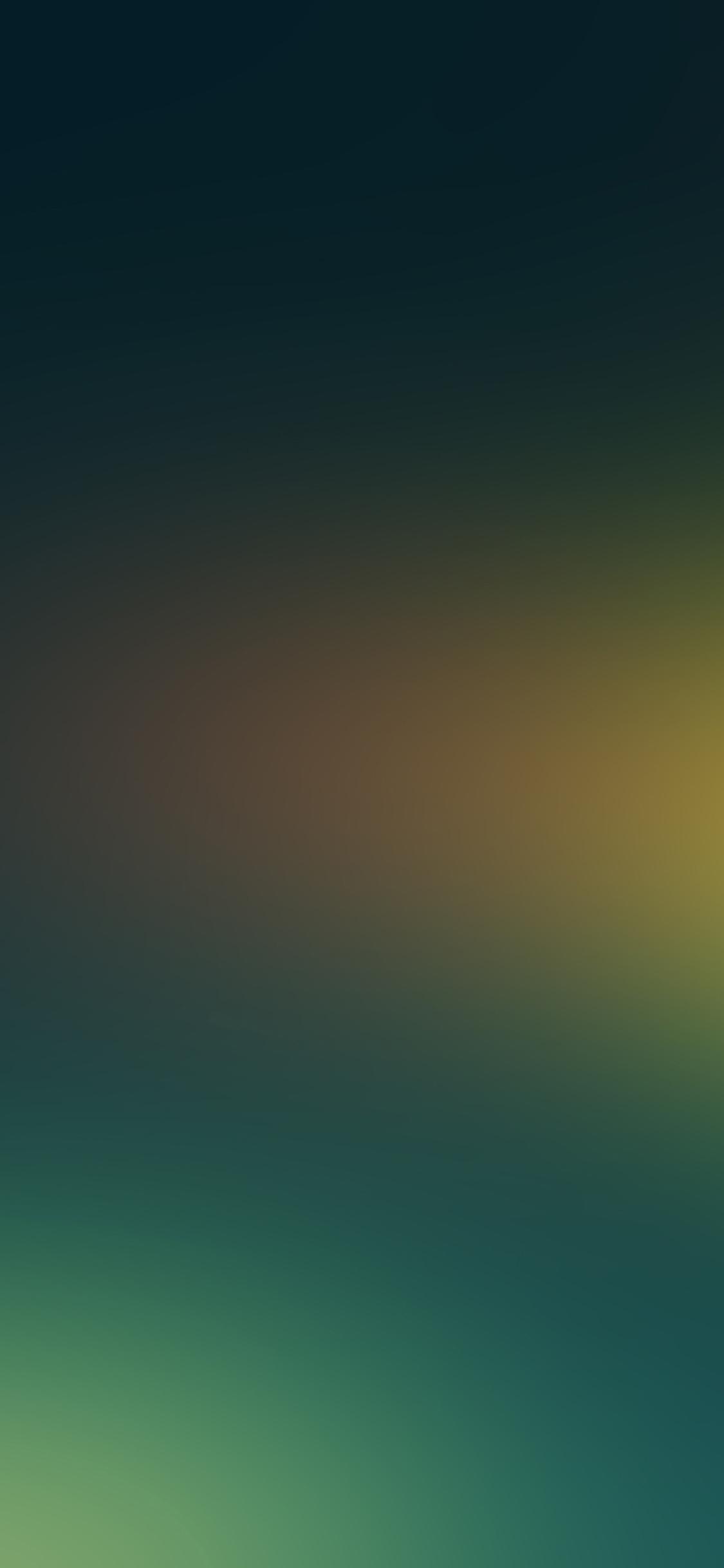 1125x2436 iPhoneXpapers amazon dream blur