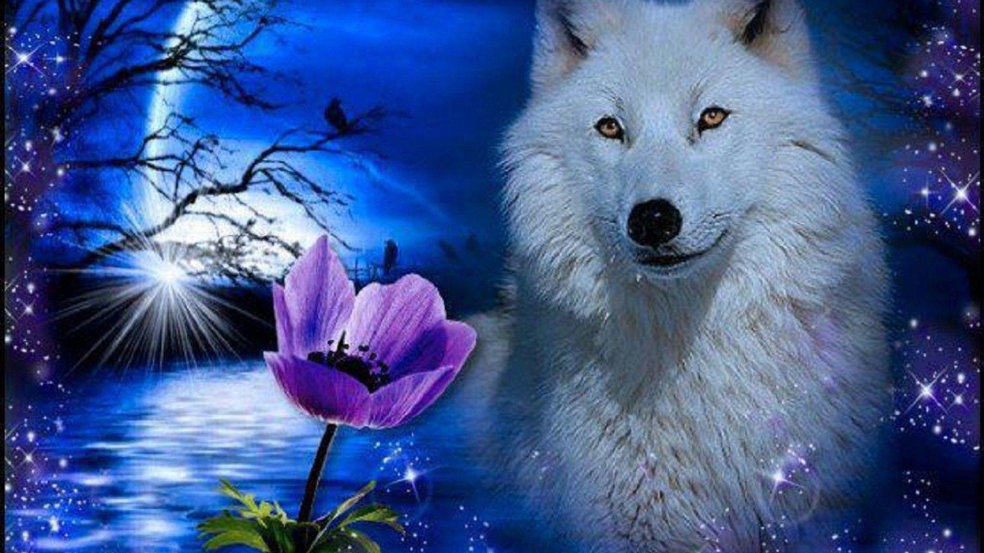 Blue Moon and Wolf Wallpapers - Top Free Blue Moon and Wolf Backgrounds