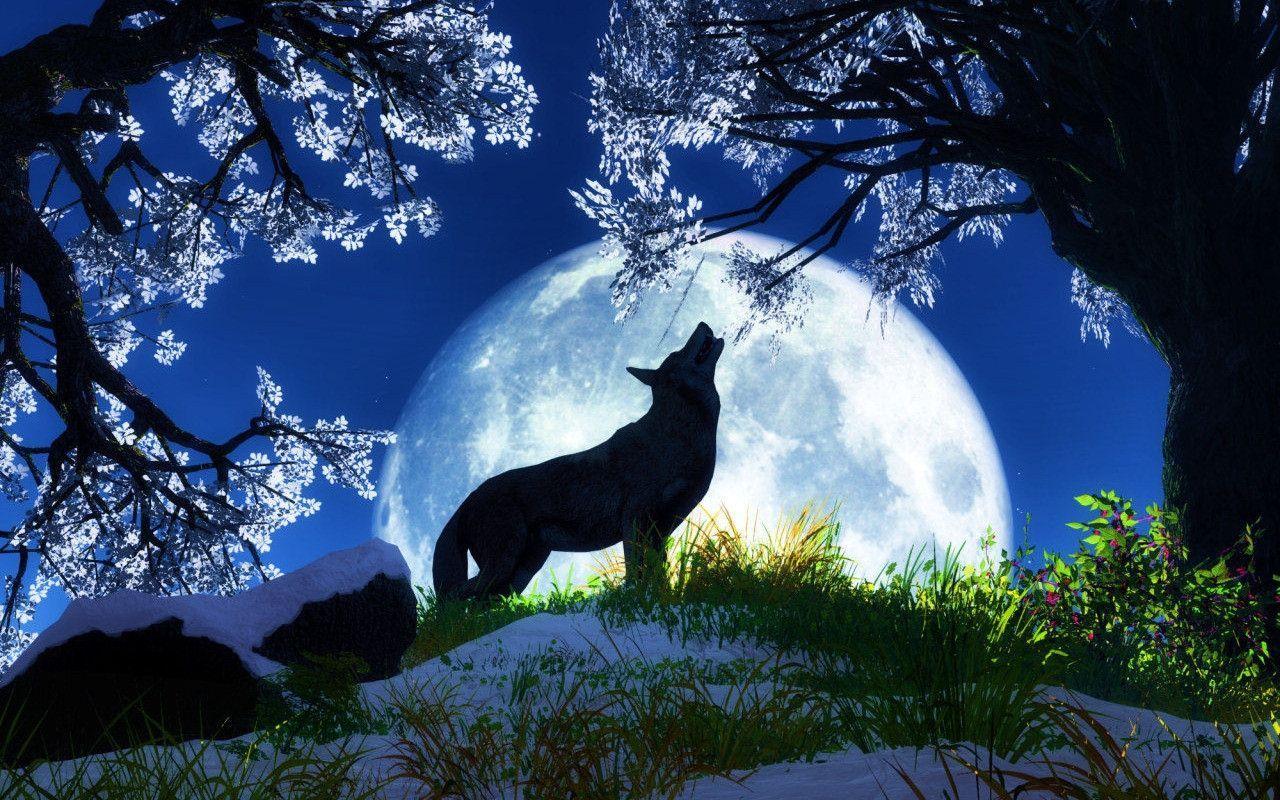 Blue Moon And Wolf Wallpapers Top Free Blue Moon And Wolf Backgrounds Wallpaperaccess