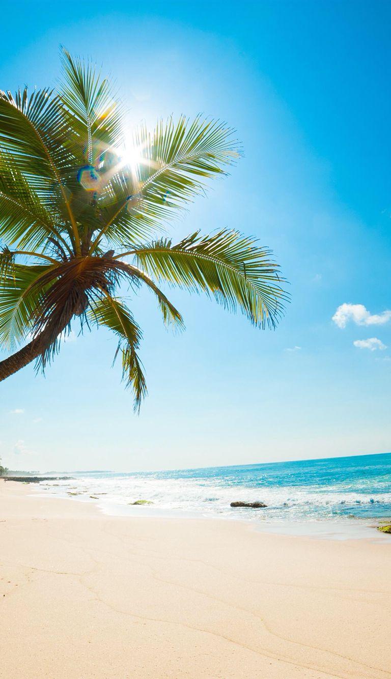 768x1334 Free download Sunny beach Hawaii Pinterest Beach Beach wallpaper and [768x1334] for your Desktop, Mobile & Tablet. Explore Sunny Beach Wallpaper. Sunny Beach Wallpaper, Sunny Beach Wallpaper, Sunny Wallpaper