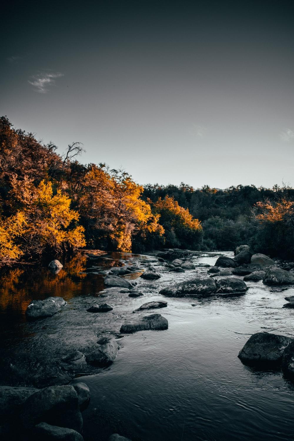 1000x1500 background collection. best free background, outdoor, rock and grey photo