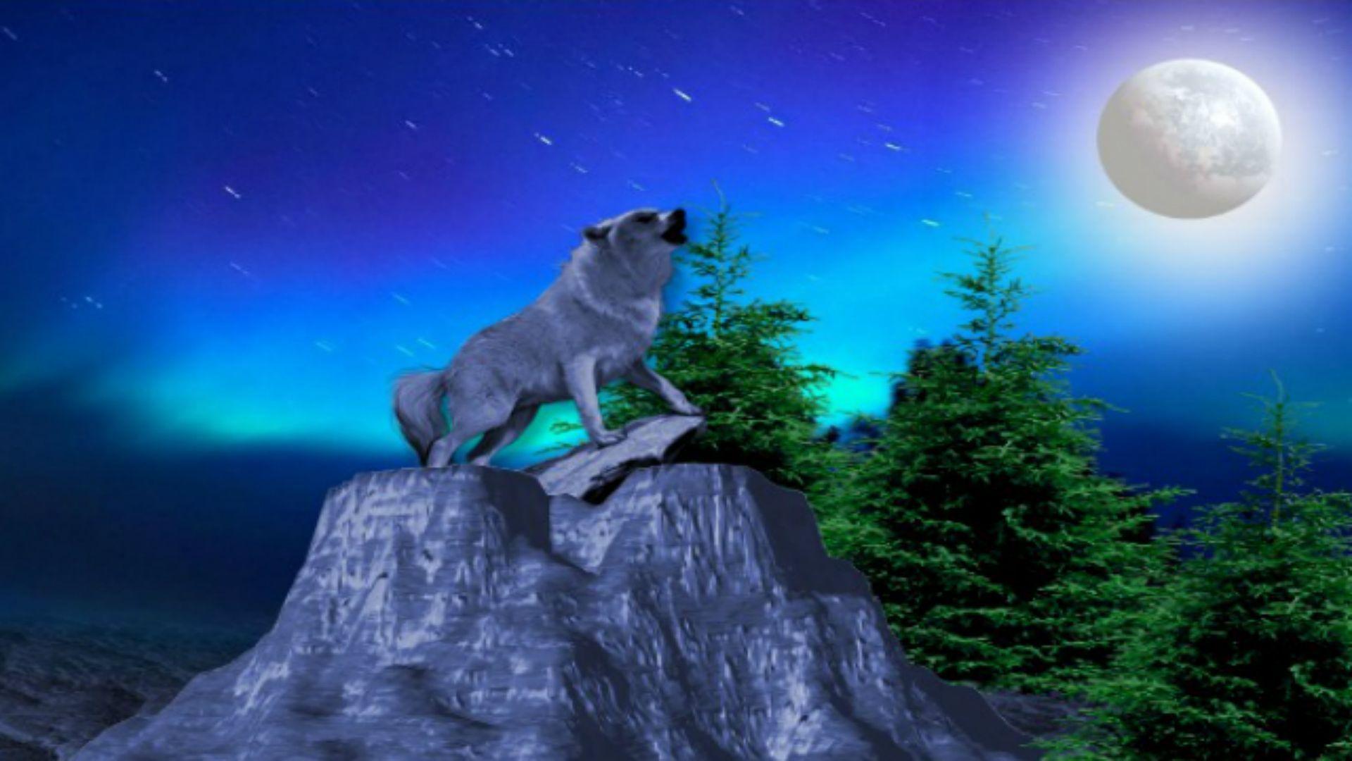Blue Moon and Wolf Wallpapers - Top Free Blue Moon and Wolf Backgrounds - WallpaperAccess