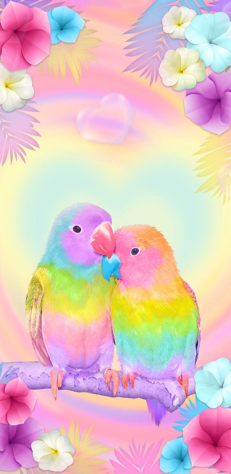 Cute Rainbow Animal Wallpapers Top Free Cute Rainbow Animal
