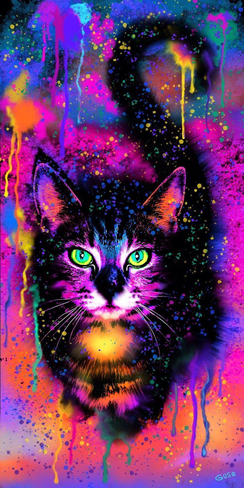 800x1600 Rainbow Painted Tabby Cat. Cat art print, Colorful animal paintings, Cat art