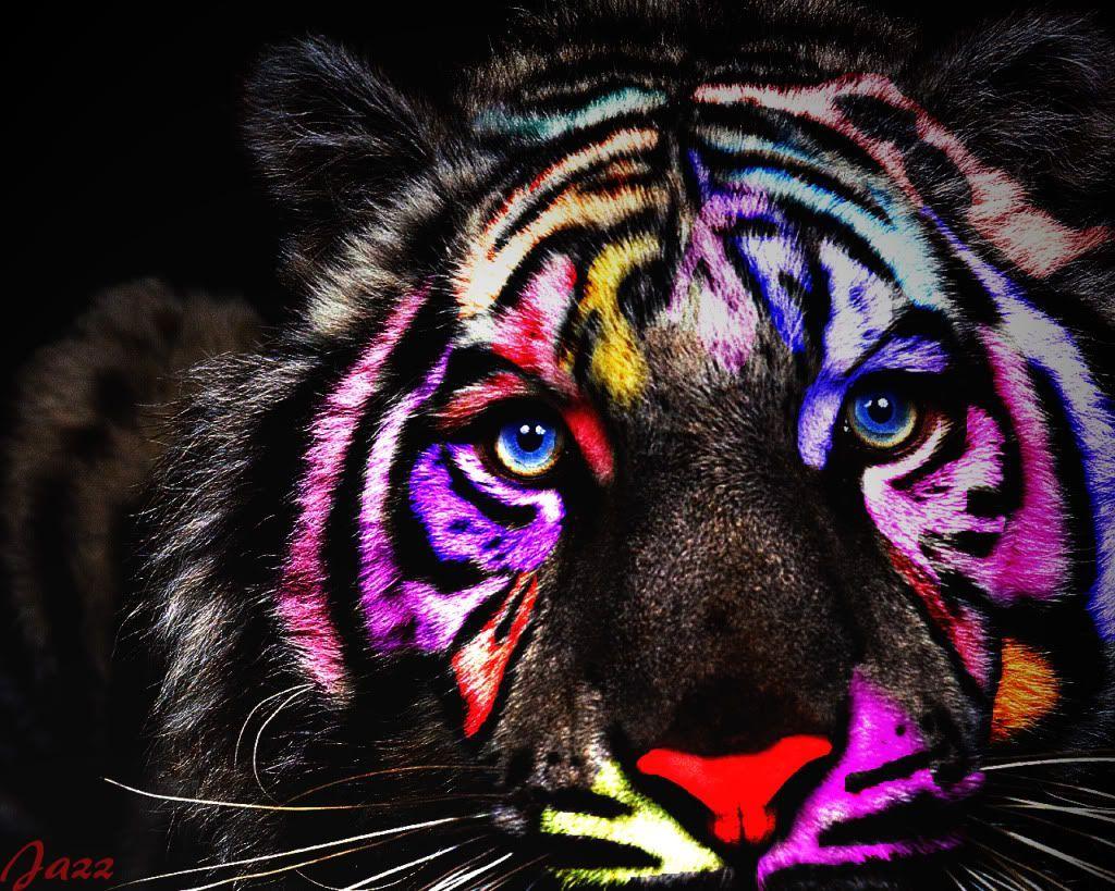 1024x819 Rainbow Animals Wallpaper