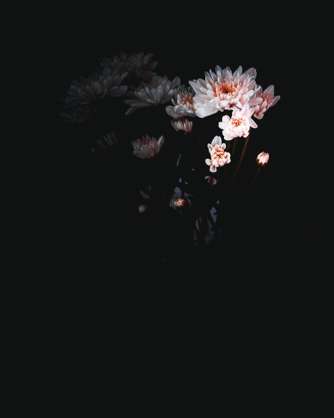 1080x1350 OLED Wallpaper: Free HD Download [HQ]