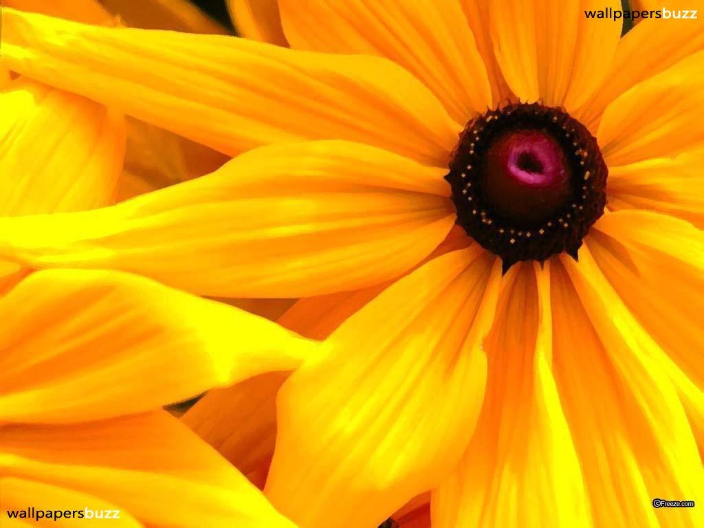 1024x768 Yellow Sunflower Wallpaper