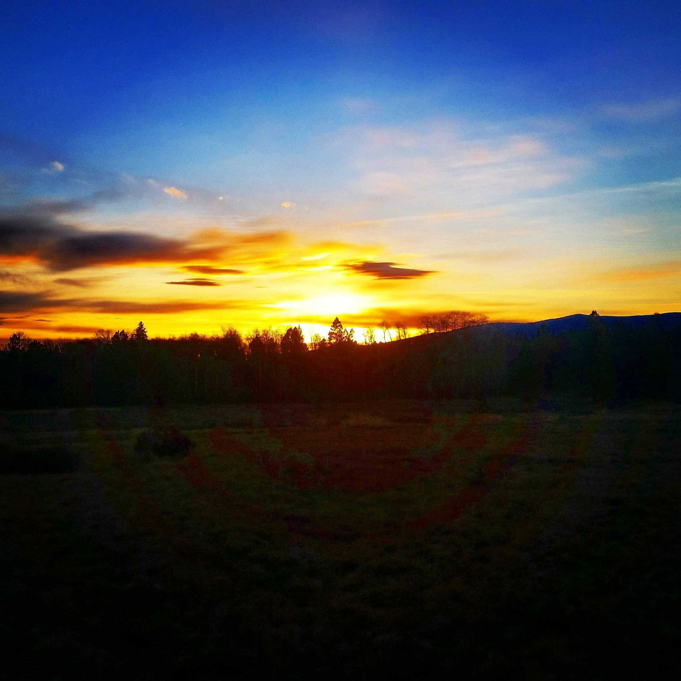 2304x2304 of Montana 4K wallpaper for your desktop or mobile screen