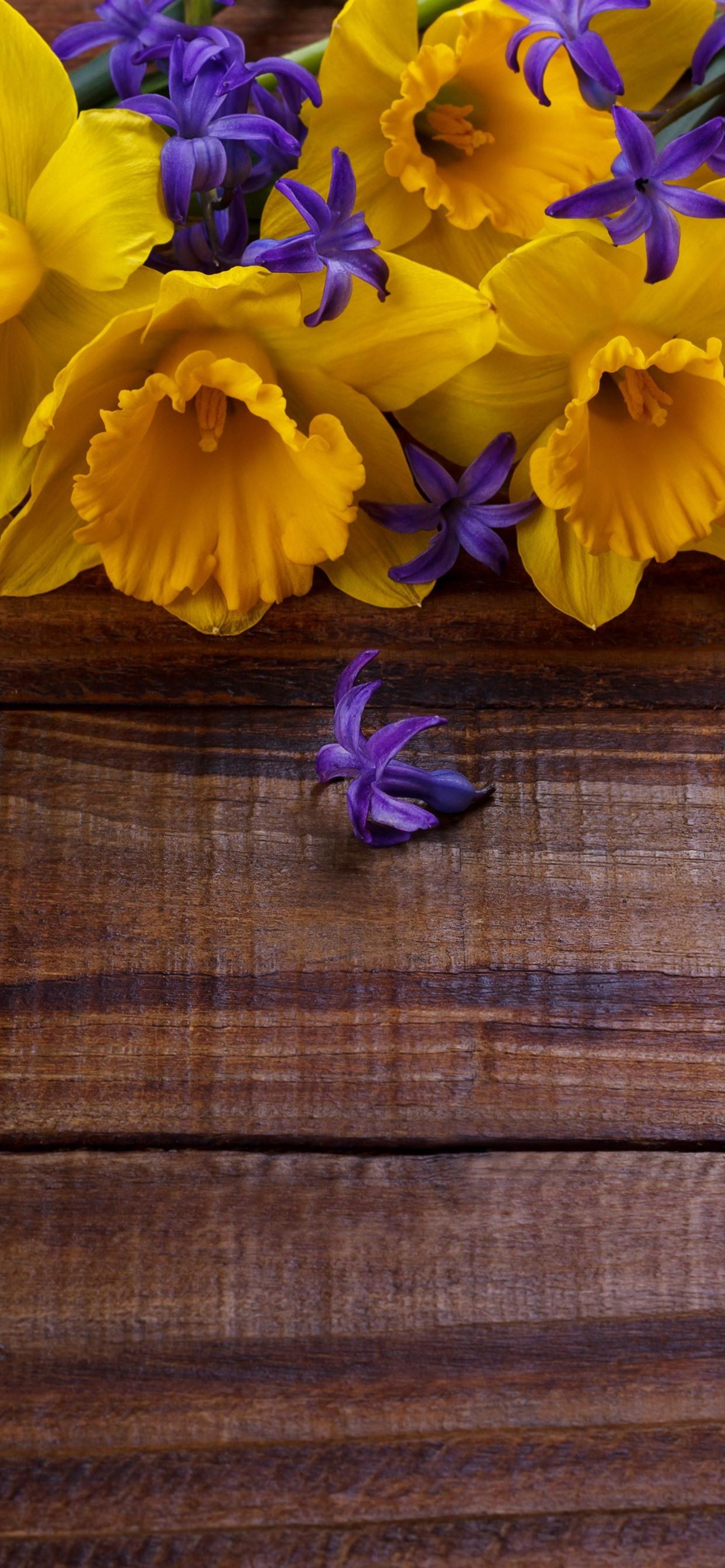 Purple and Yellow iPhone Wallpapers Top Free Purple and Yellow iPhone