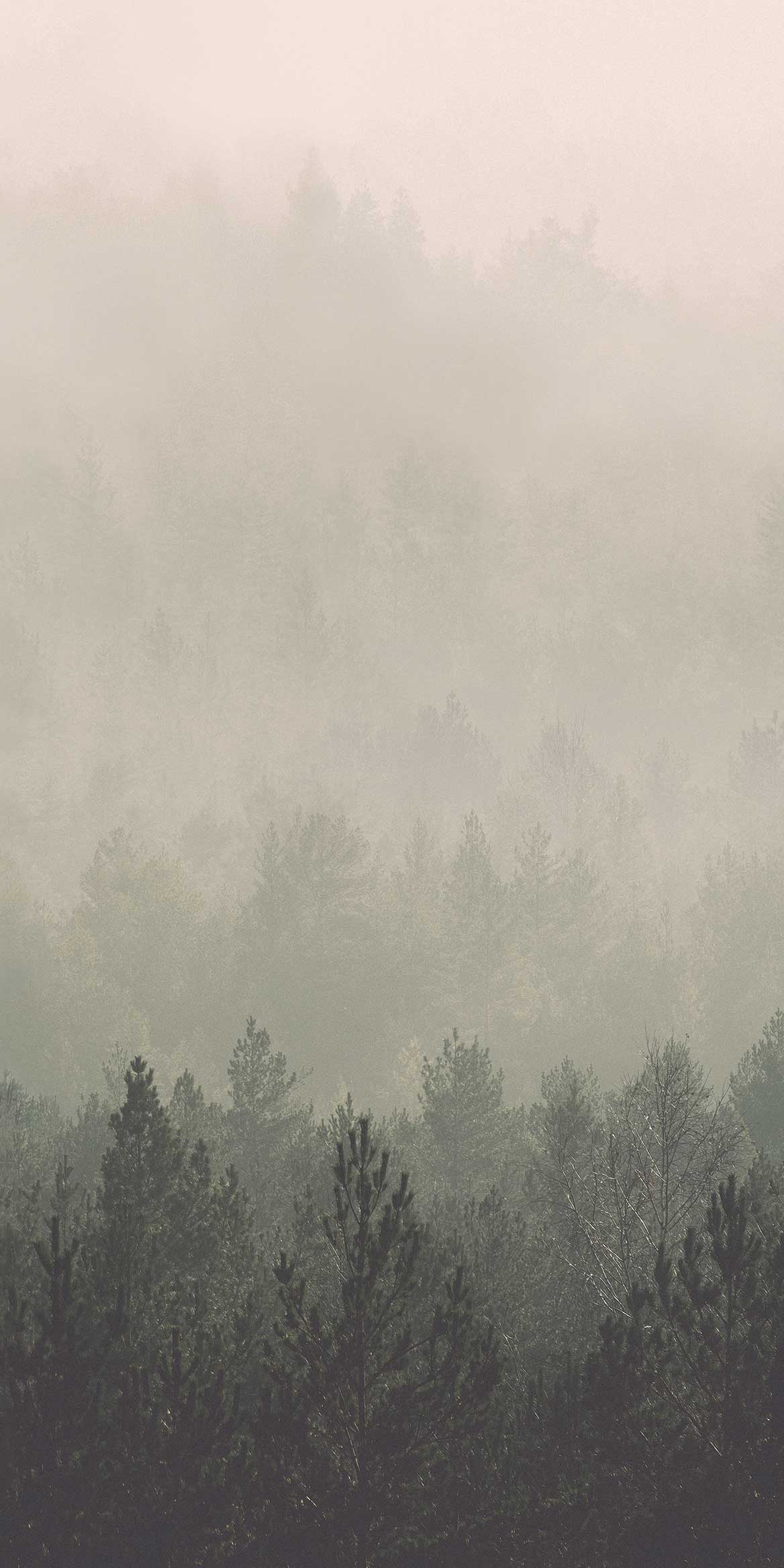 1168x2336 Pink & Green Vintage Forest Wallpaper- Feathr Wallpaper