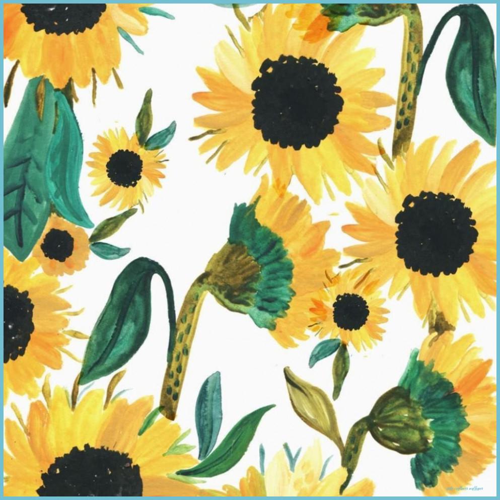 993x993 Seven Ideas To Organize Your Own Artsy Sunflower Wallpaper. Artsy Sunflower Wallpaper