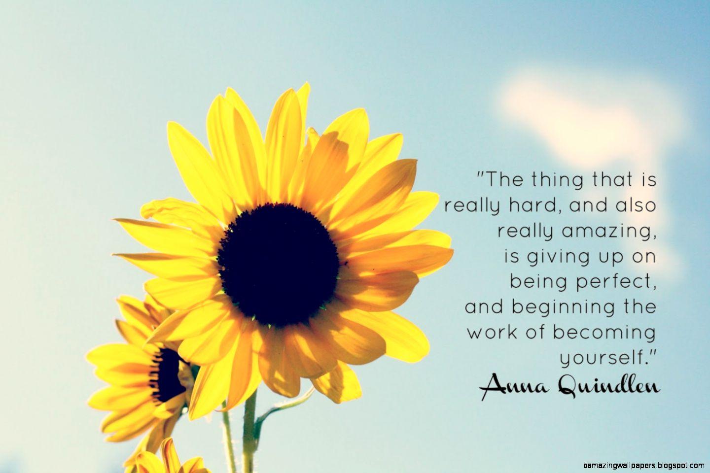 1440x960 Quote Cute Wallpaper Tumblr Sunflowers Background Mac Teraget