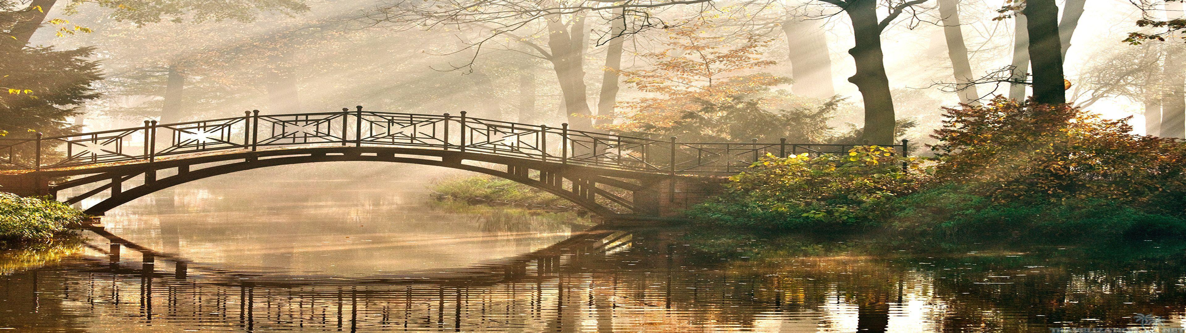 3840x1080 dual monitor wallpaper 3840×1080 forest 1. Dual Monitor Wallpaper