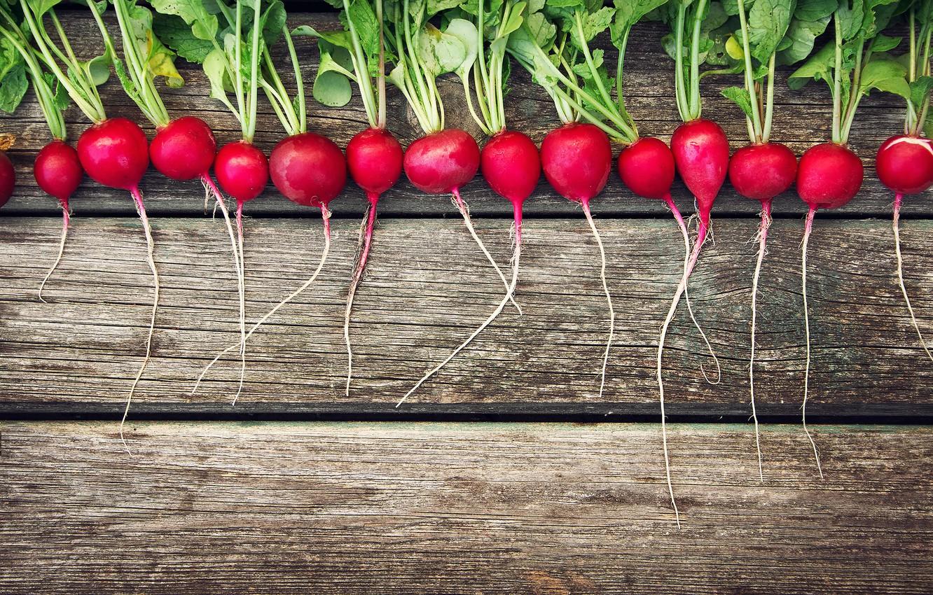 1332x850 Wallpaper background, Board, radishes image for desktop, section еда