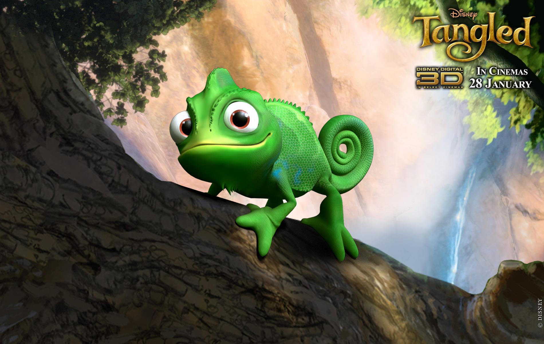 1900x1200 Pascal from Disney's Tangled Movie Desktop Wallpaper