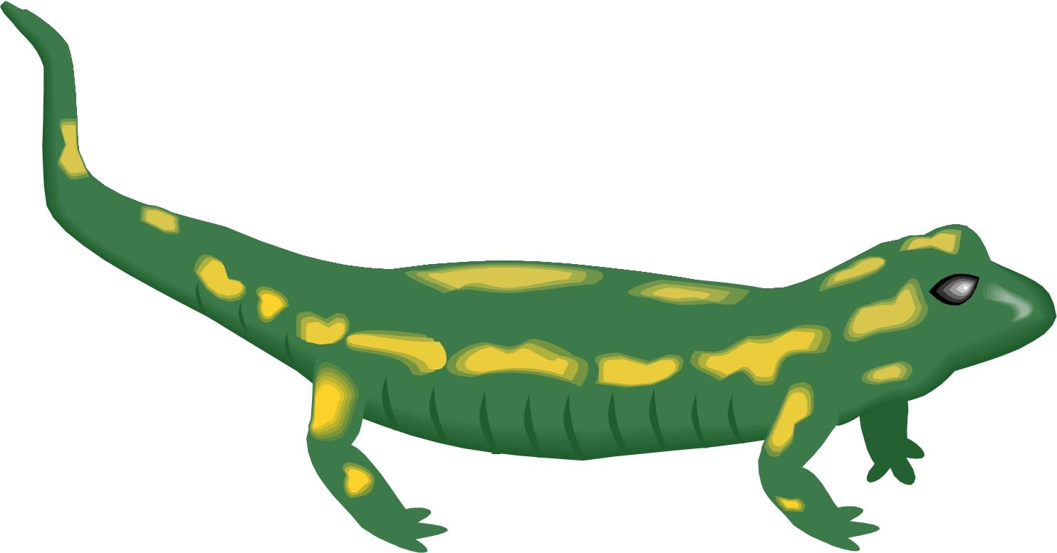 1484x777 Free Cartoon Lizard Image, Download Free Cartoon Lizard Image png image, Free ClipArts on Clipart Library