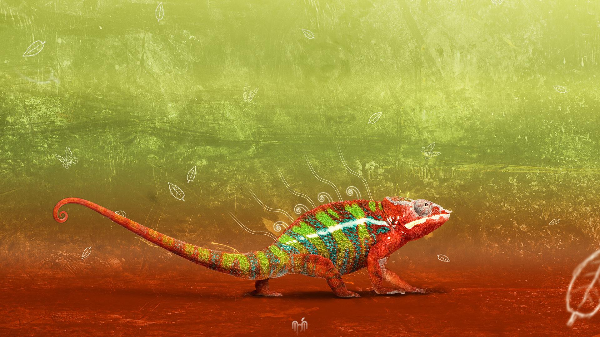 1920x1080 animation wallpaper free download, reptile, lizard, scaled reptile, terrestrial animal, adaptation, gecko, chameleon, wildlife, amphibian, tail