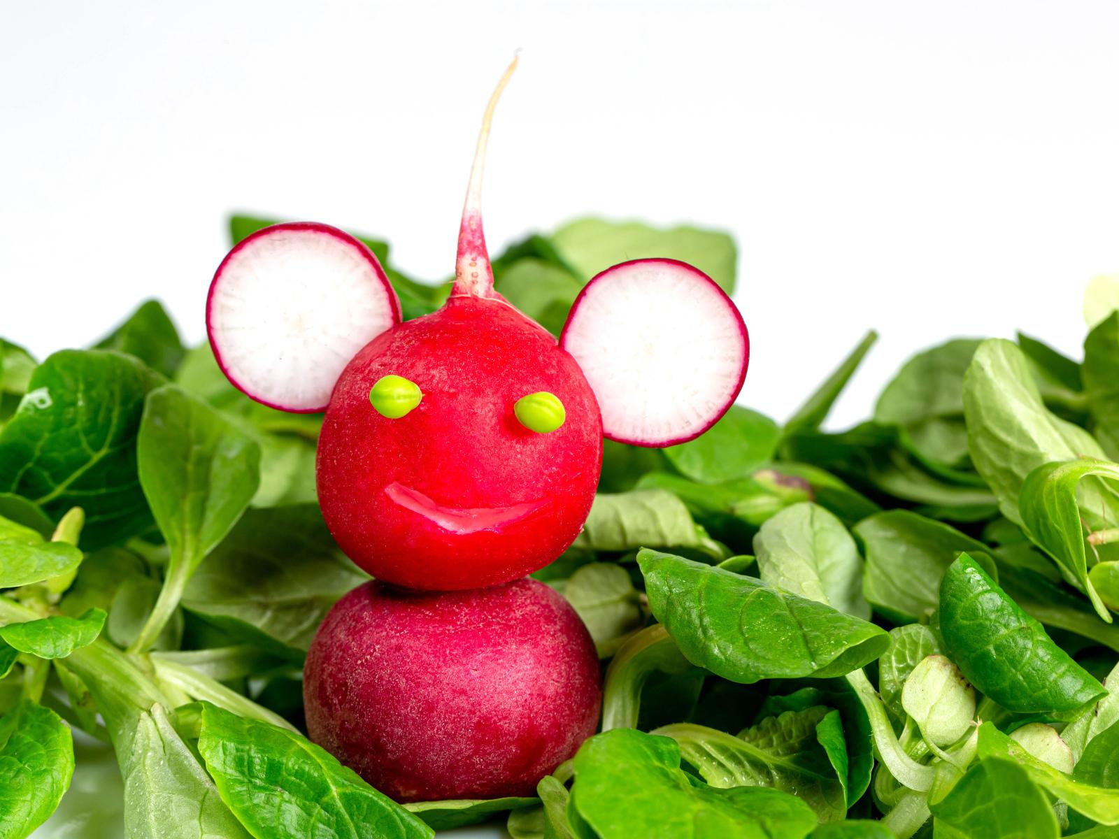 1600x1200 Red radish beast on basil leaves Desktop wallpaper 1600x1200