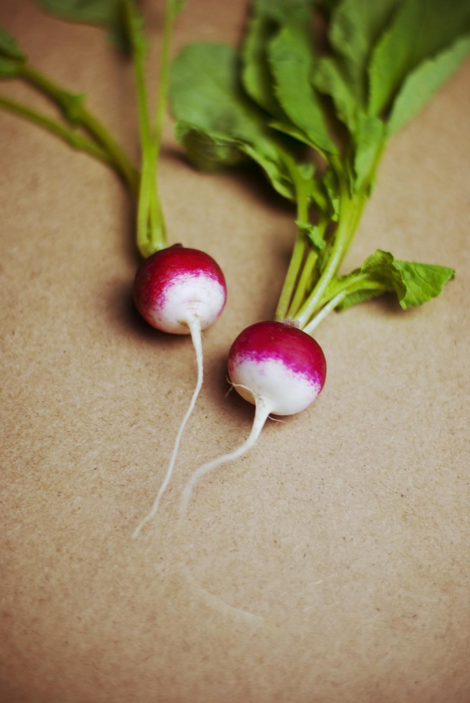 960x1434 Radish Vegetables Free Stock CC0 Photo