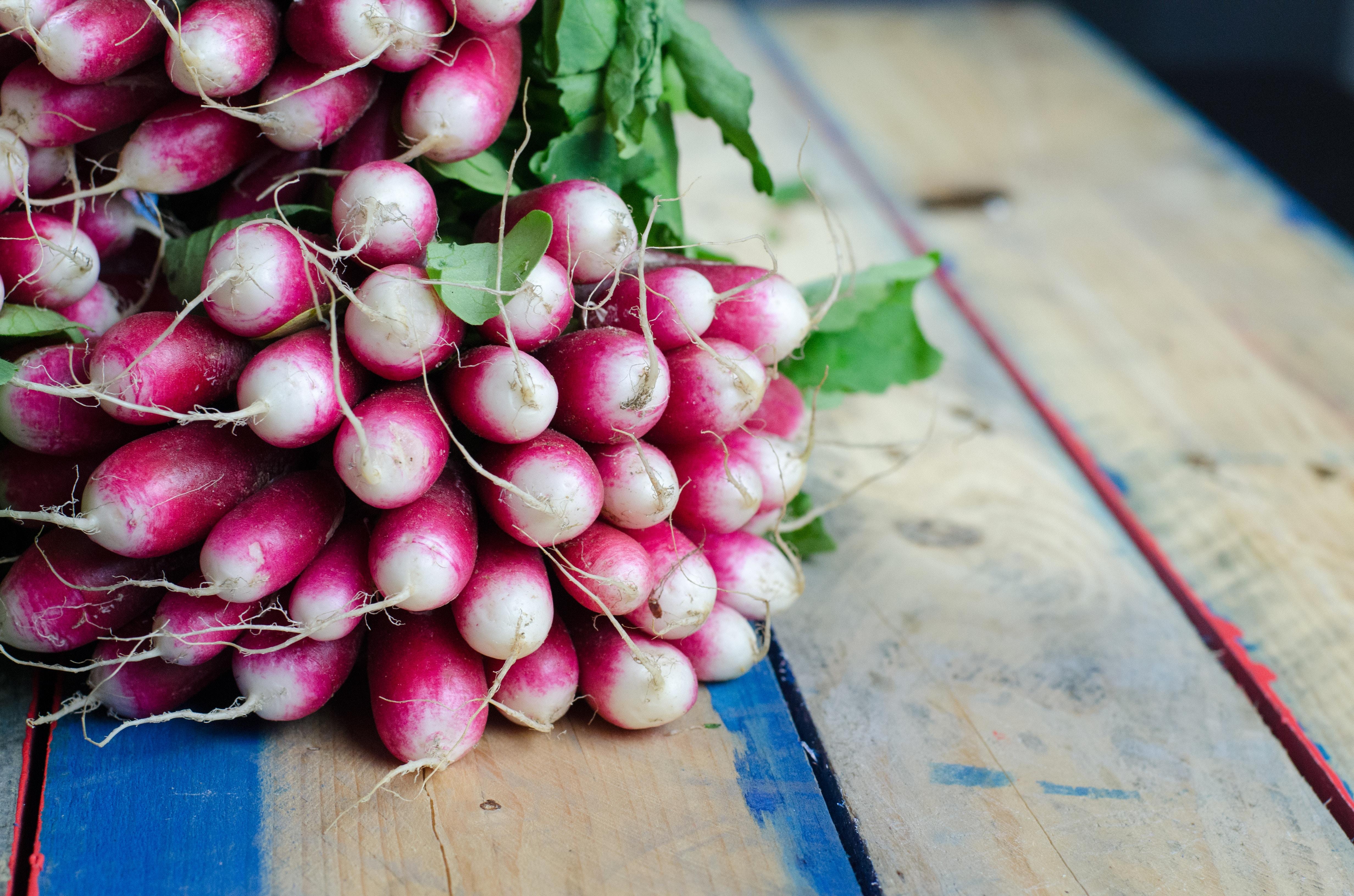 4928x3264 radish HD wallpaper, Background