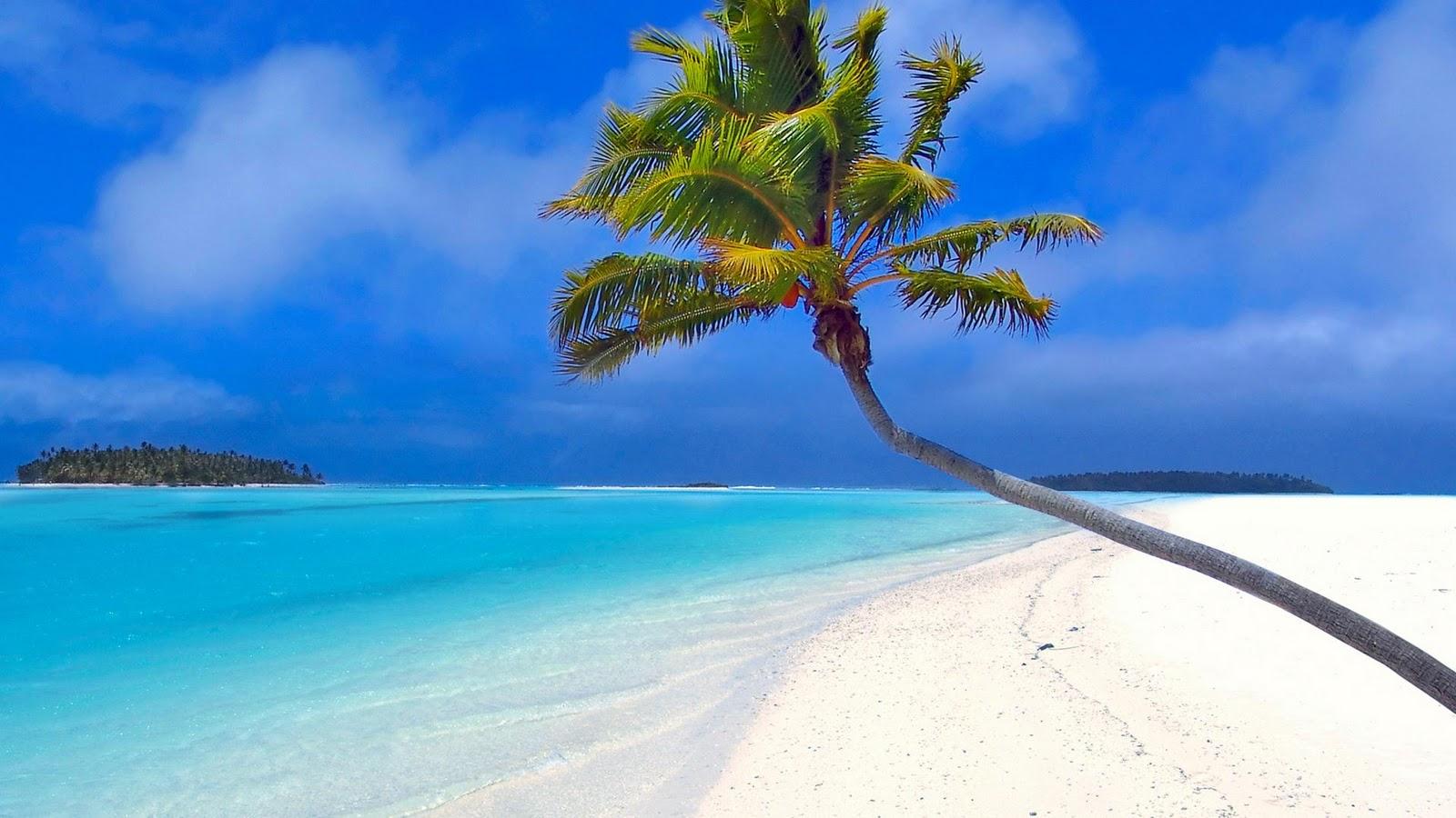 1600x900 Free download Best Desktop HD Wallpaper Ocean Wallpaper [1600x900] for your Desktop, Mobile & Tablet. Explore Desktop Background Ocean. Ocean Wallpaper