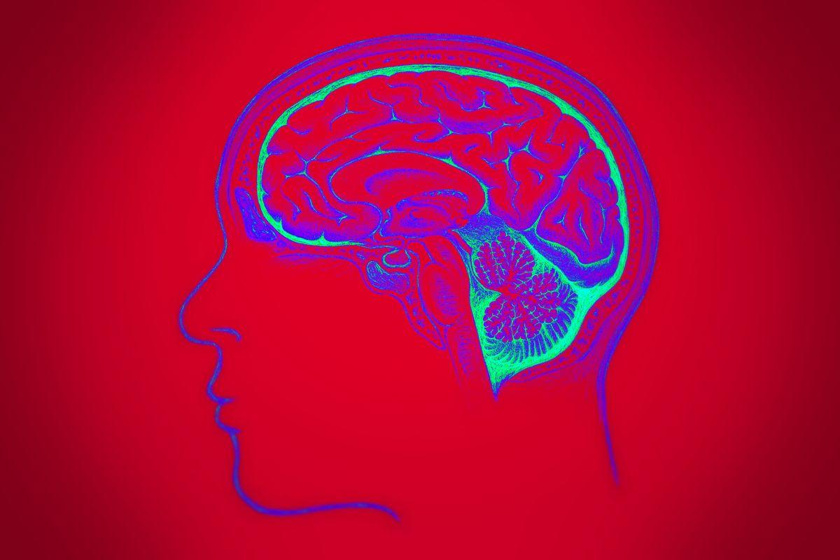 1200x800 Human Brain HD Desktop Wallpaper 36892