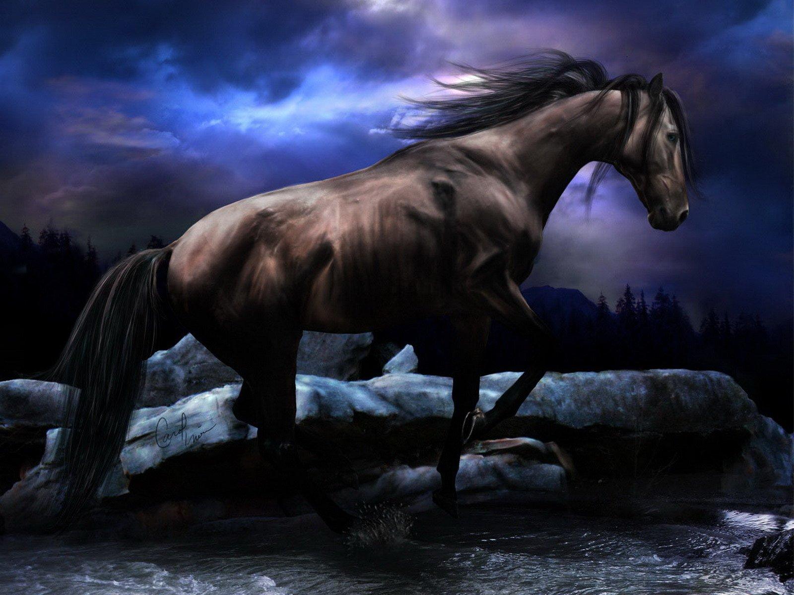 1600x1200 Free download Black horse wallpaper Animals wallpaper wallpaper Desktop [1600x1200] for your Desktop, Mobile & Tablet. Explore Christmas Horses Wallpaper for Computer. Christmas Desktop Free Holiday Wallpaper, Christmas Desktop