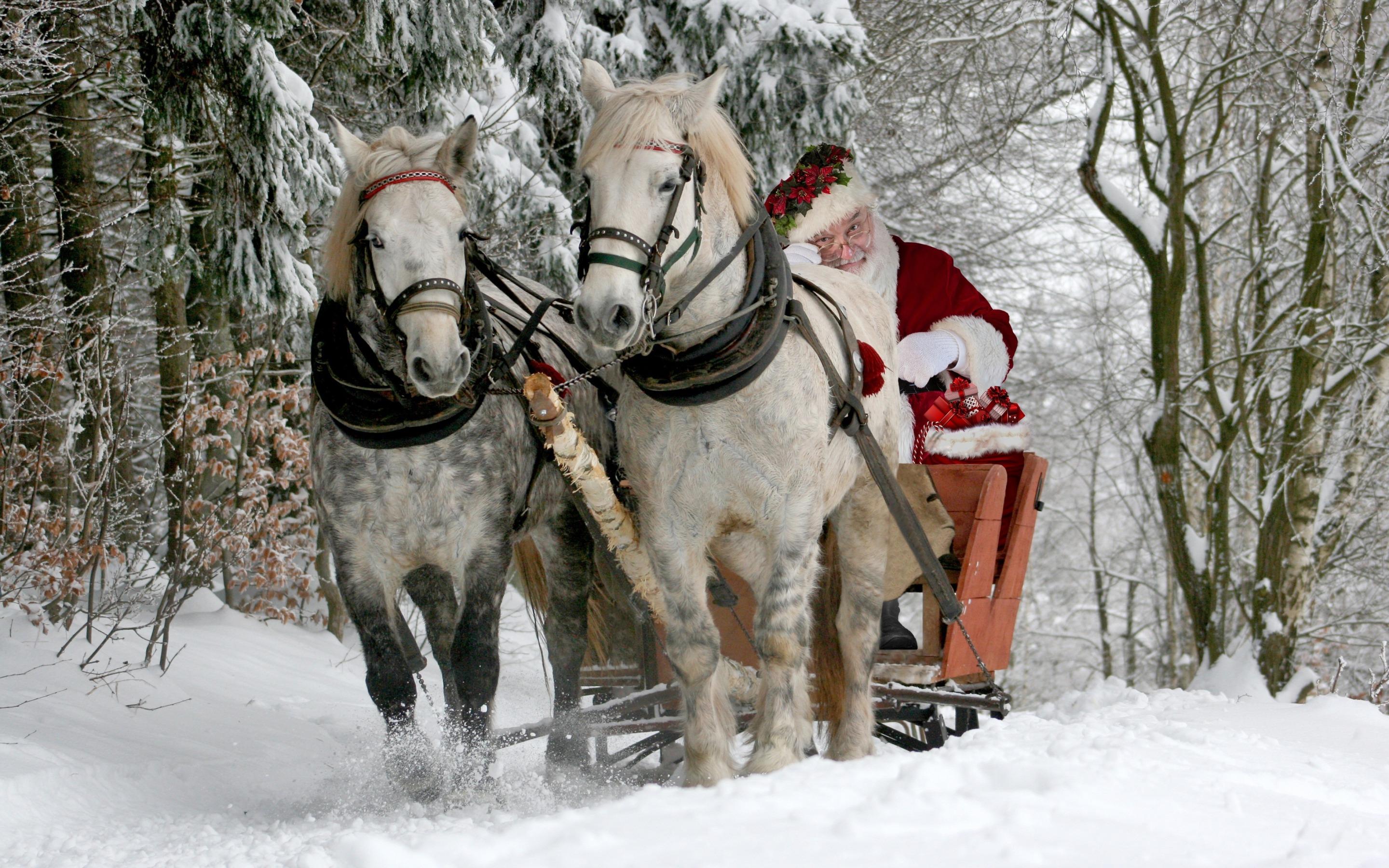 2880x1800 Download wallpaper Santa Claus, sleigh, winter, horses, Christmas for desktop with resolution 2880x1800. High Quality HD picture wallpaper