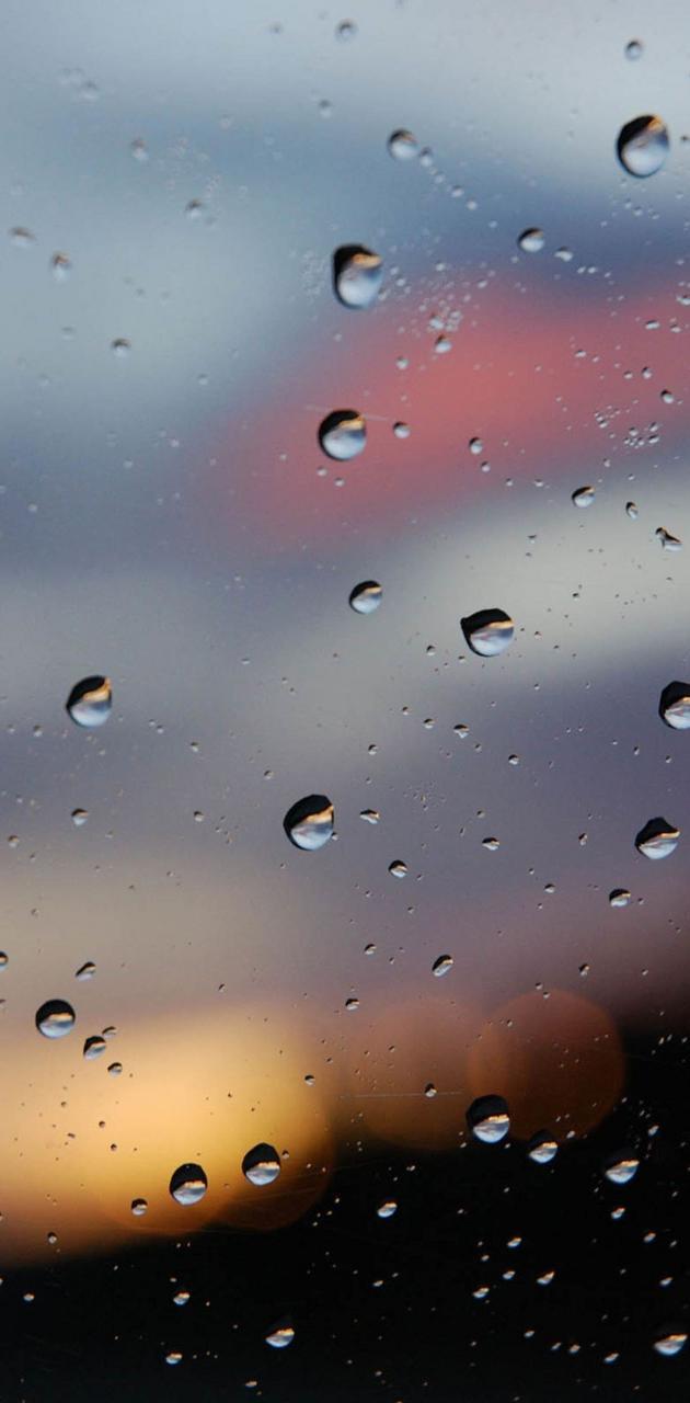 630x1280 Rainy Window wallpaper
