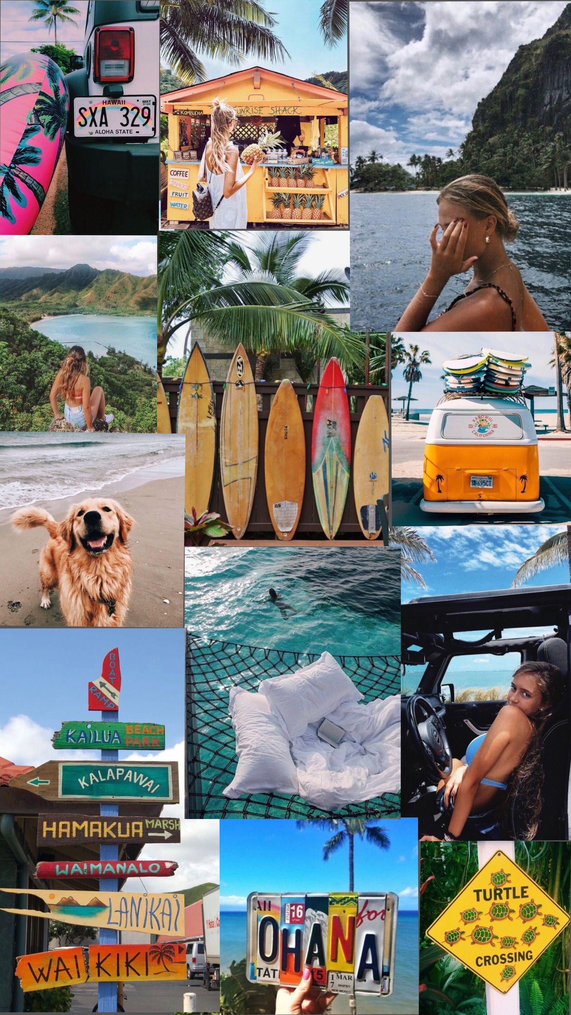 1836x3264 Hawaii aesthetic. Wallpaper, I wallpaper, Polaroid film