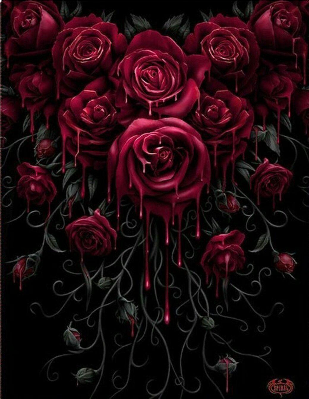 blood red rose wallpaper