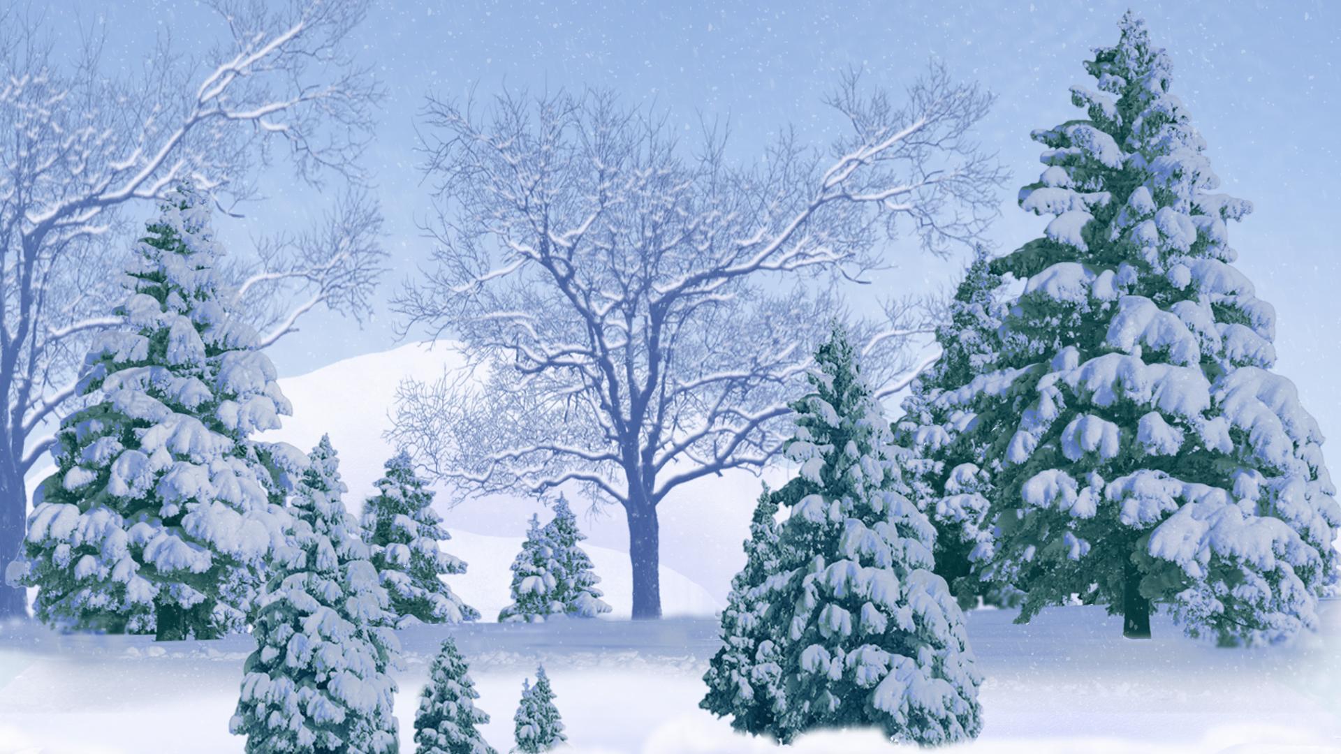 1920x1080 Free download background winter white wallpaper background trees snow [1920x1080] for your Desktop, Mobile & Tablet. Explore Winter Trees Wallpaper. Wallpaper with Trees Designs, iPhone Winter Tree Wallpaper, Larson