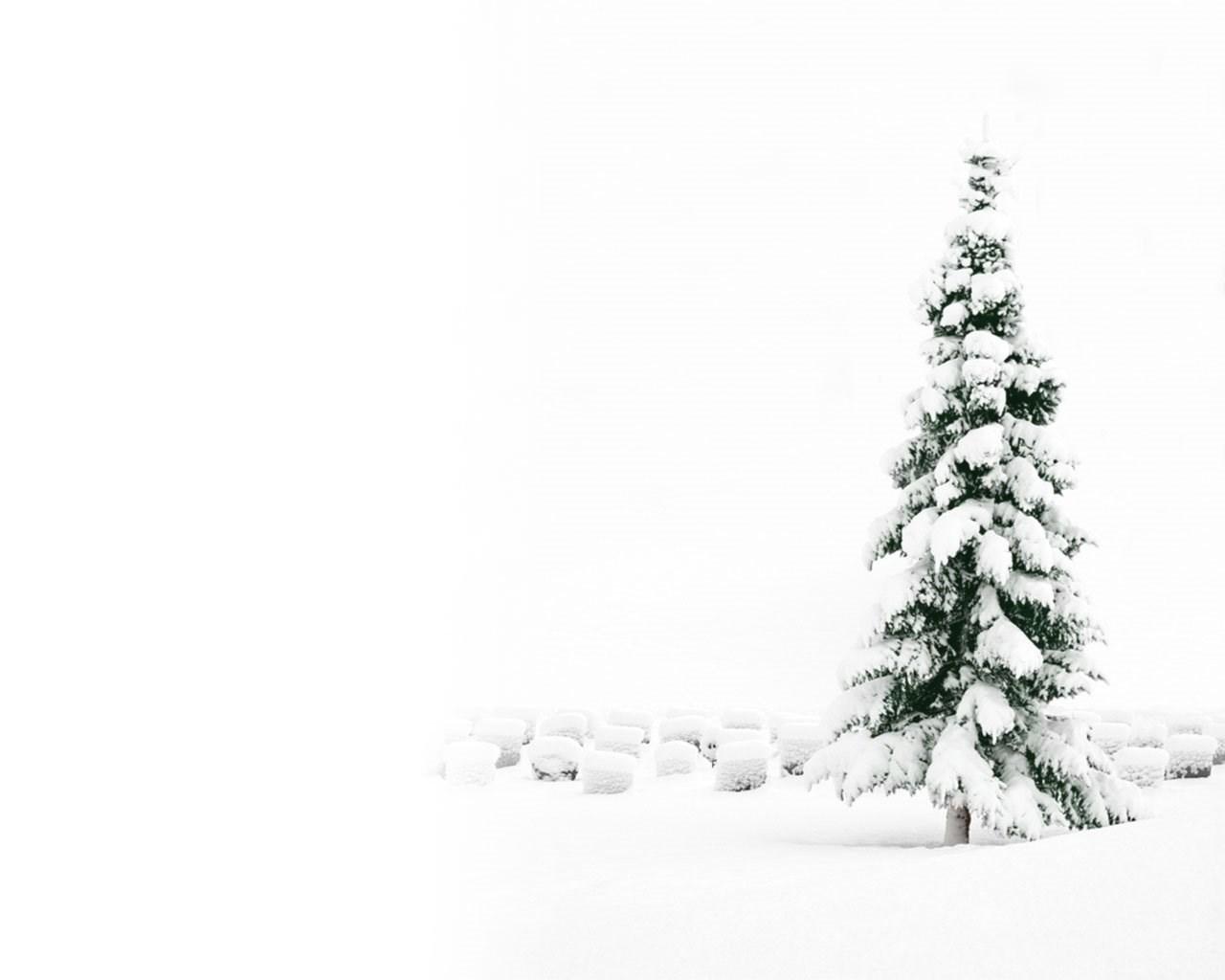 1280x1024 Christmas Snow Tree Wallpaper Wallpaper Desktop Background