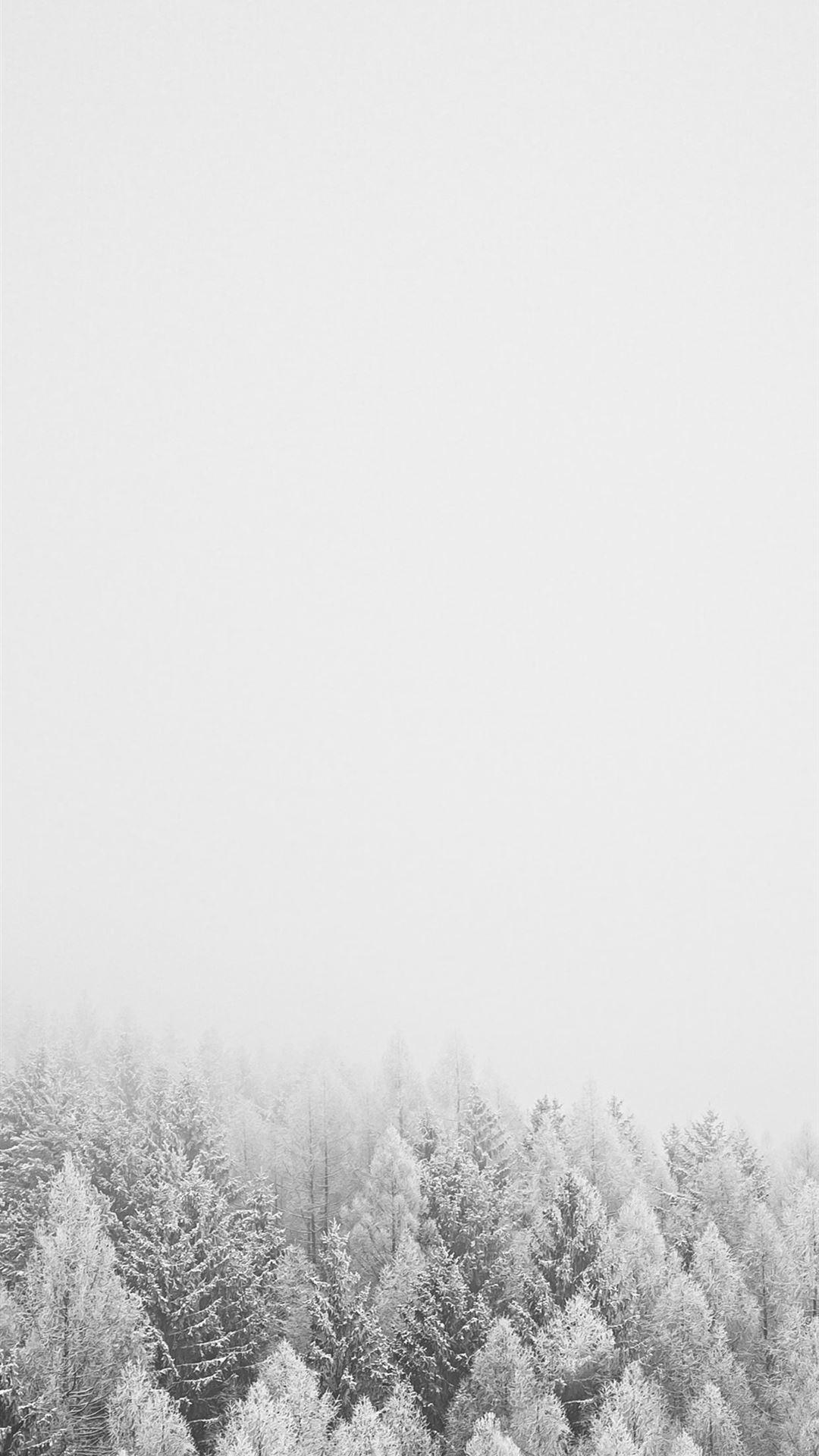 Black and White Tree iPhone Wallpapers Top Free Black and White Tree