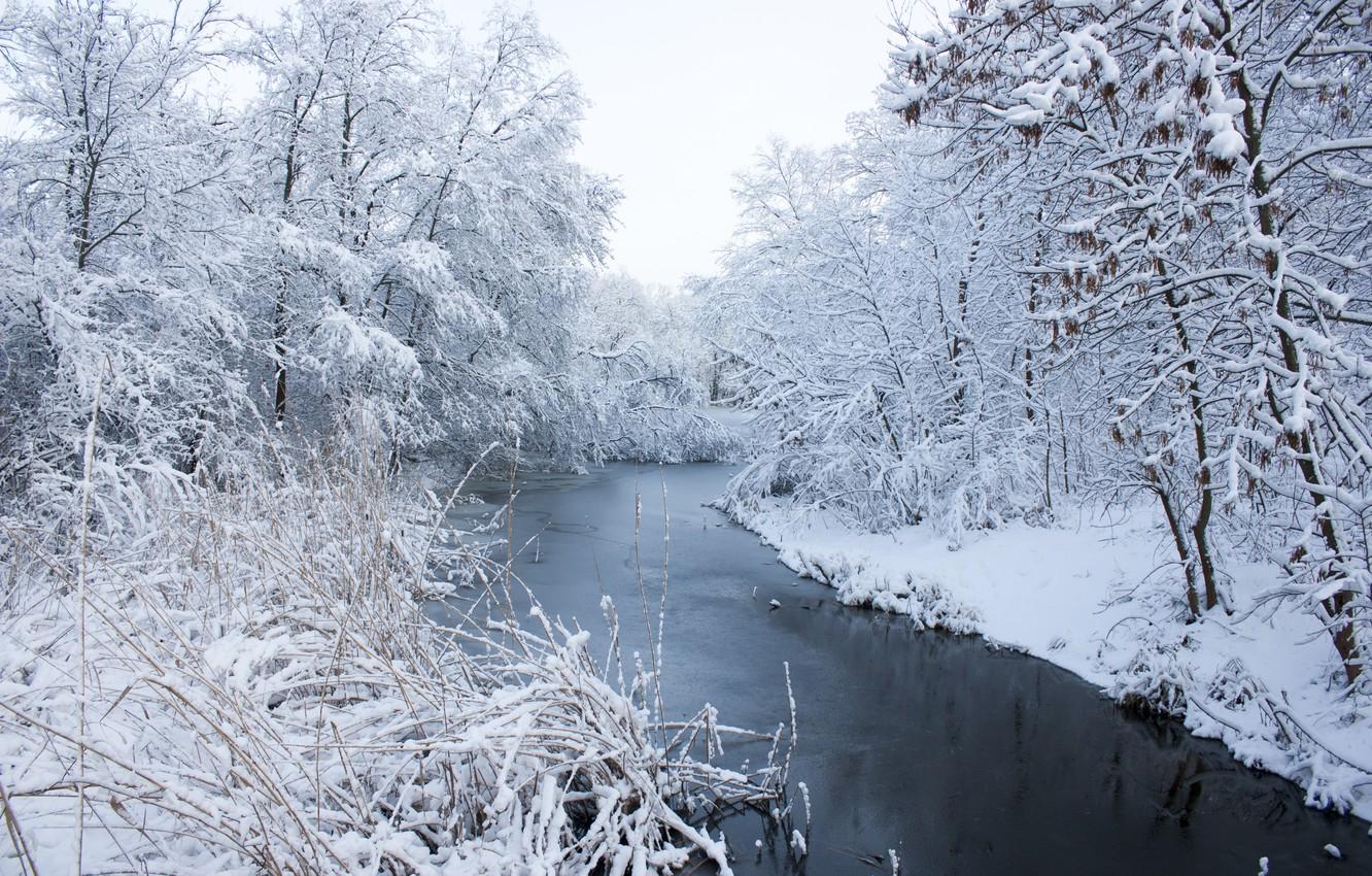 1332x850 Wallpaper winter, snow, trees, landscape, river, white, river, landscape, winter, snow, tree image for desktop, section природа
