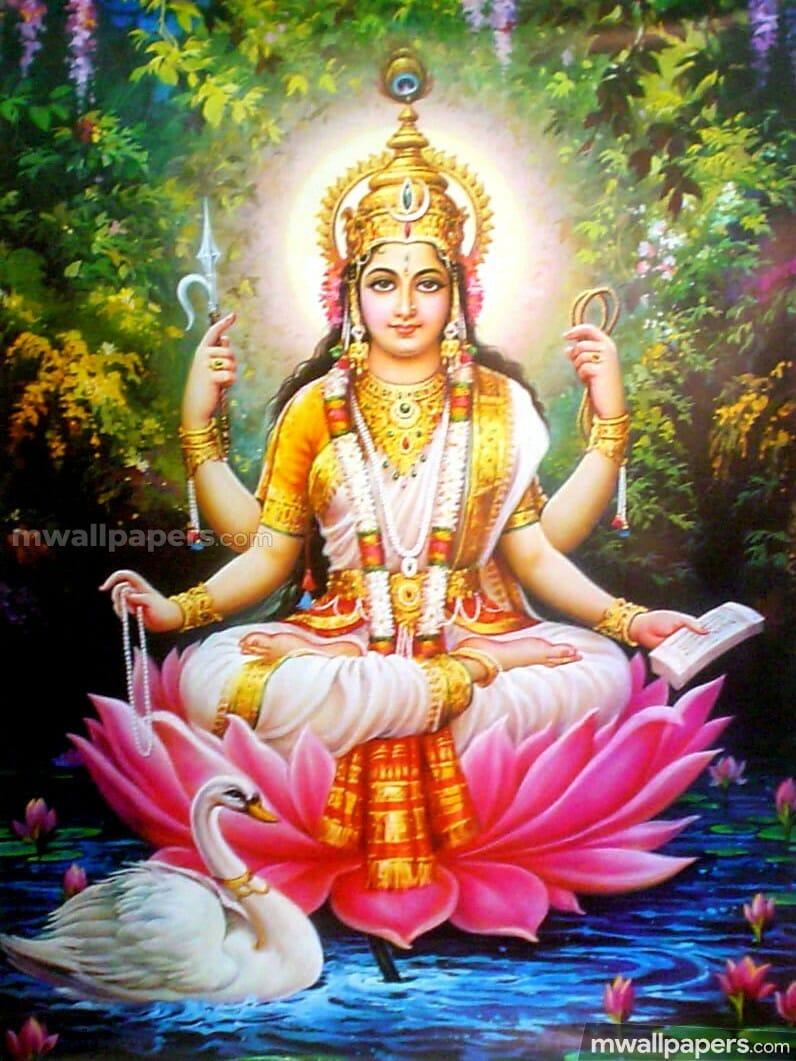 796x1061 God Saraswati Best HD Photo (1080p) (796x1061) (2021)