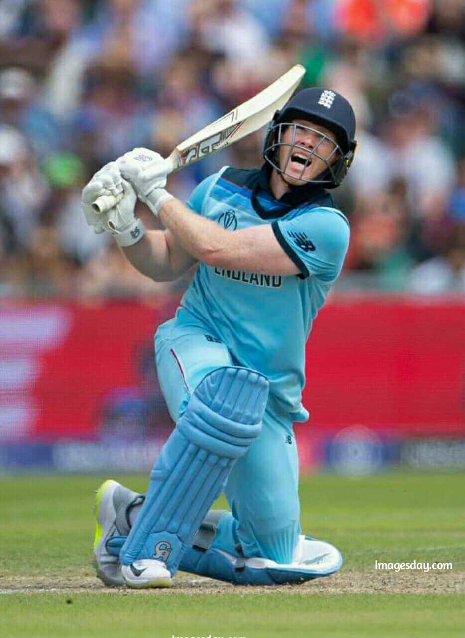934x1280 Eoin Morgan Image HD Download
