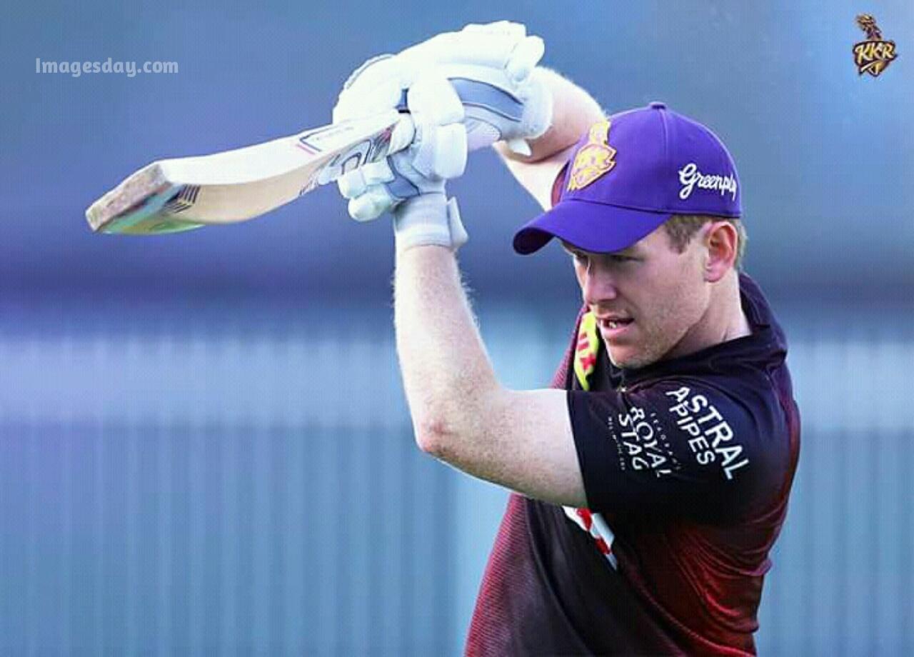 1280x920 Eoin Morgan Image HD kkr