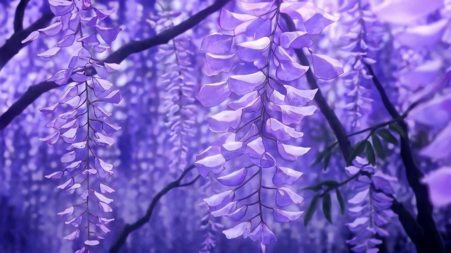 1498x842 Demon Slayer Wisteria Wallpaper