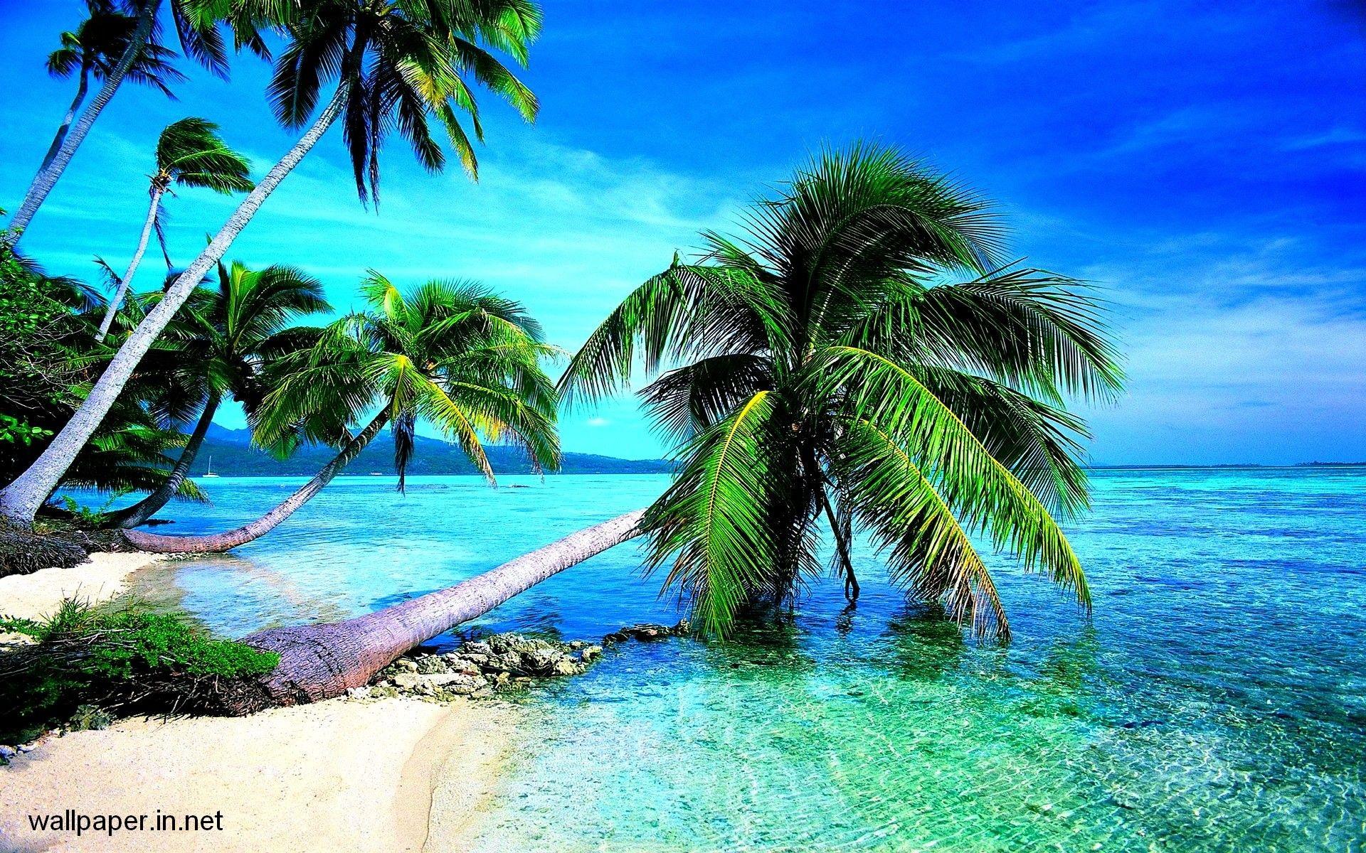 1920x1200 HD Wallpaper Beach
