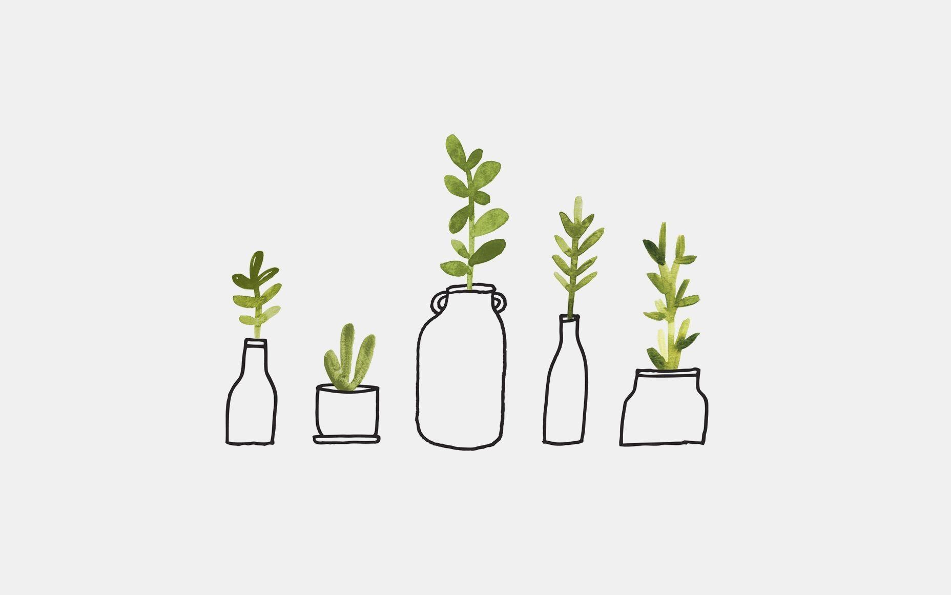 1856x1161 Plant Aesthetic Laptop Wallpaper