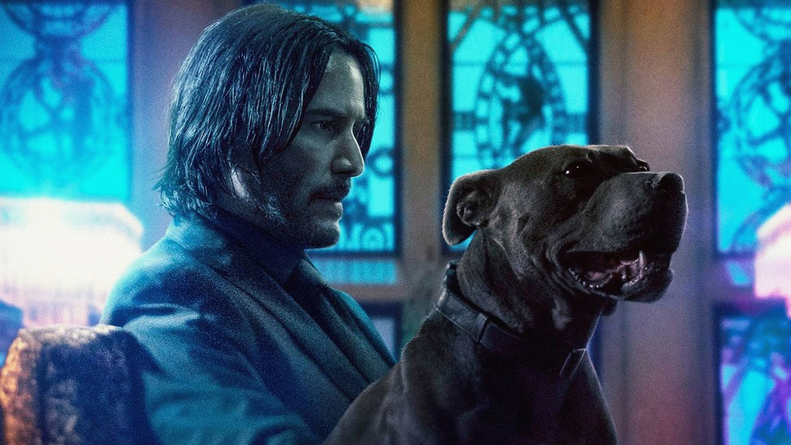 2560x1440 John Wick Chapter 3 1440P Resolution Wallpaper, HD Movies 4K Wallpaper, Image, Photo and Background