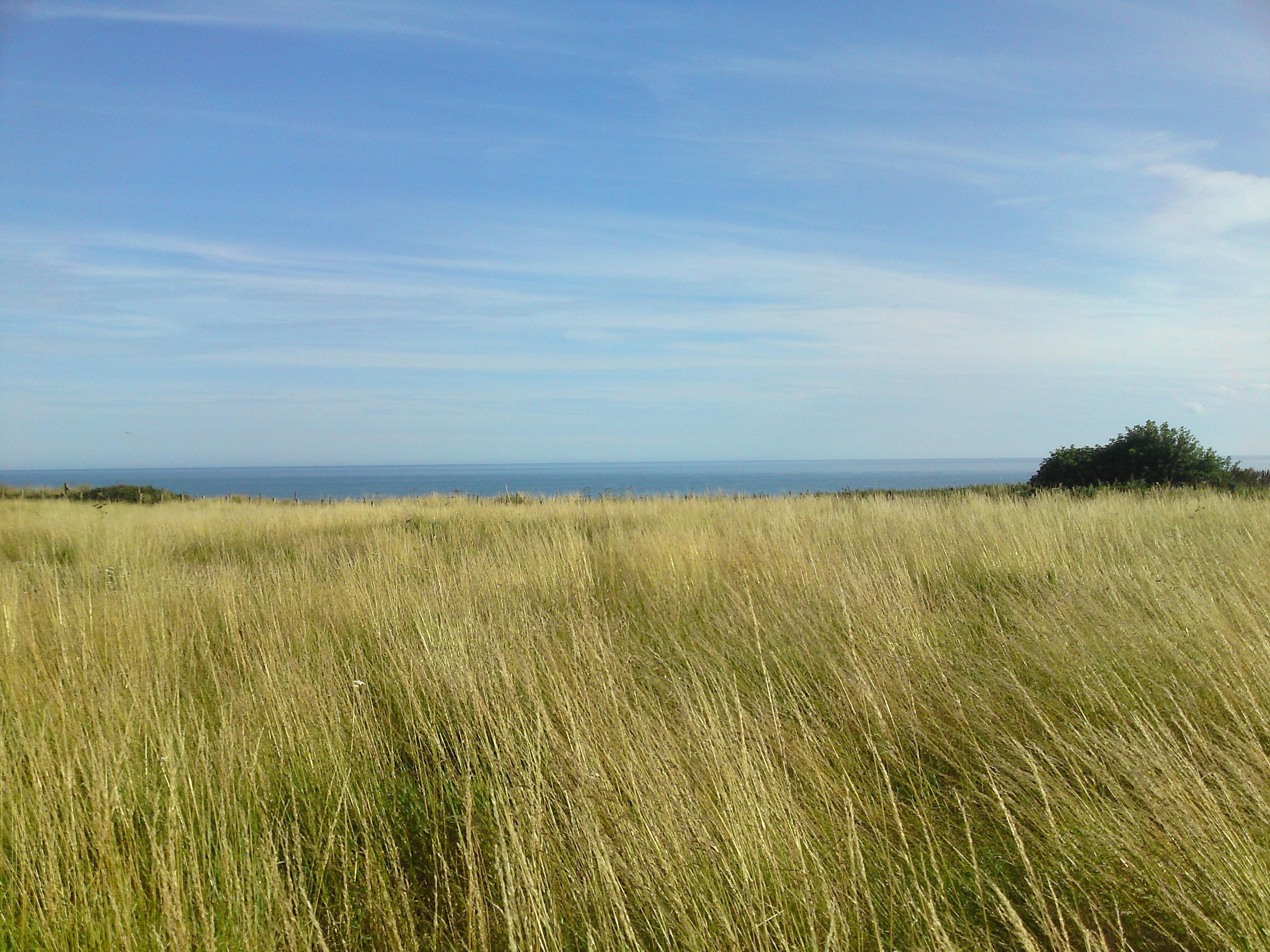 3264x2448 landscape, Omaha Beach Wallpaper HD / Desktop and Mobile Background